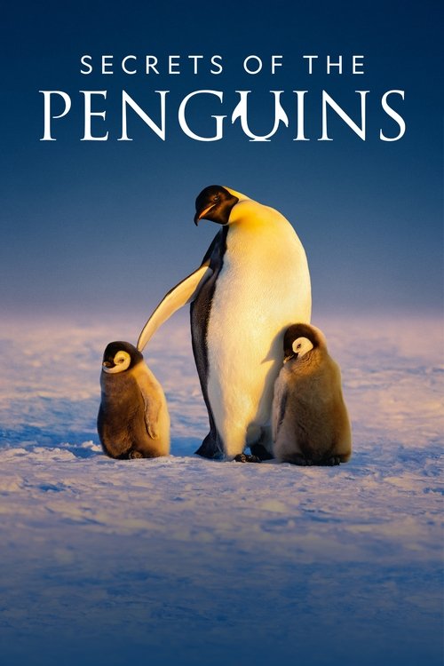 The poster features three penguins in a serene, snowy landscape under a clear blue sky. The warm tones of their feathers contrast with the cool blues of the sky and snow, creating a peaceful and magical atmosphere. The title "Secrets of the Penguins" is elegantly displayed at the top, hinting at ...