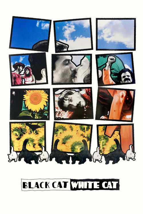 The poster features a collage of images depicting a family of cats in various settings, including a sunny day, a snowy scene, and a park. The colors are vibrant, with blues, greens, and yellows dominating the composition. The mood is warm and nostalgic, evoking a sense of family and companionship.