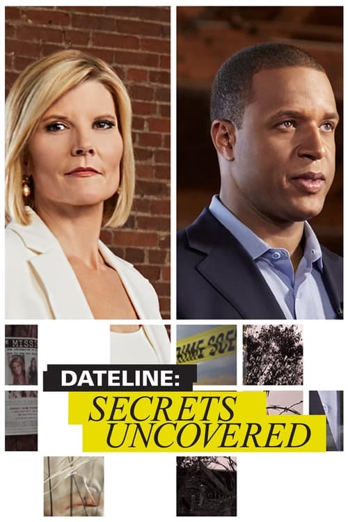 The poster features a split-screen of a blonde woman and a man against a brick wall backdrop. The colors are warm and earthy, with a yellow banner at the bottom displaying the show's title. The mood is professional yet intriguing, suggesting secrets and intrigue.