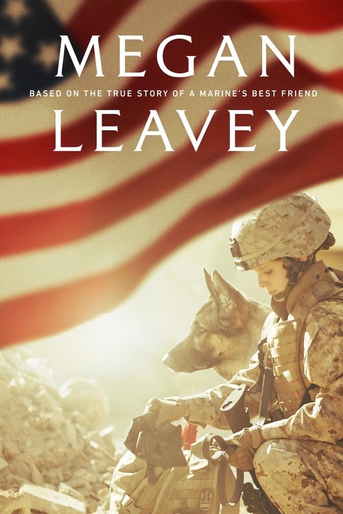 The poster features a soldier in a helmet and camouflage uniform, holding a rifle, with an American flag in the background. The warm golden lighting and earthy tones evoke a sense of adventure and patriotism.
