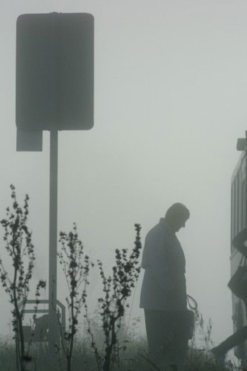 Hello, Horse! poster