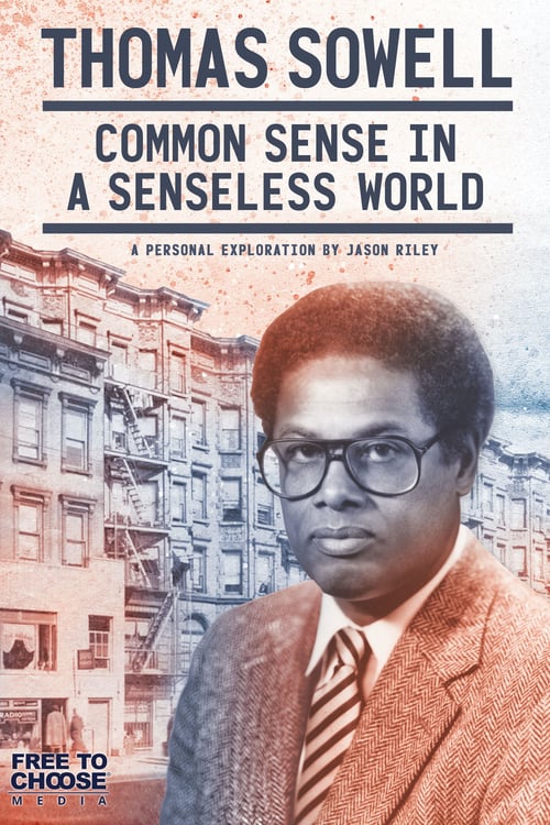 The poster features Thomas Sowell in a brown suit with a striped tie, wearing glasses, against a backdrop of a city street scene. The warm orange and brown tones create a serious, contemplative mood. The text highlights the book's theme of common sense in a senseless world.