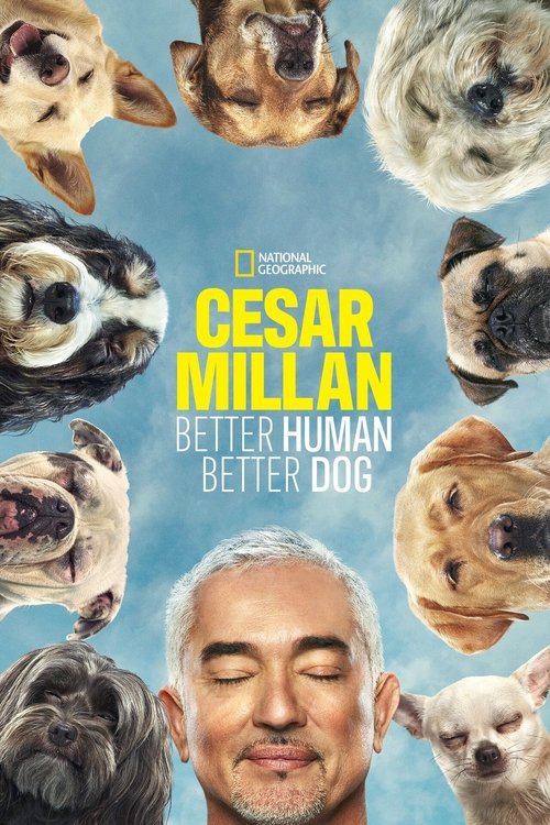 The poster features Cesar Millan with his eyes closed, surrounded by various dog faces in vibrant colors against a soft blue background. The composition creates a warm, inviting mood that suggests a heartwarming story about human and canine relationships.