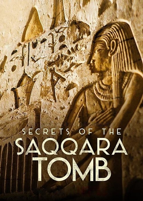 The poster features a golden, weathered relief of ancient Egyptian figures, evoking mystery and history. The sepia tones and hieroglyphic-like text suggest a blend of mystery and ancient secrets.
