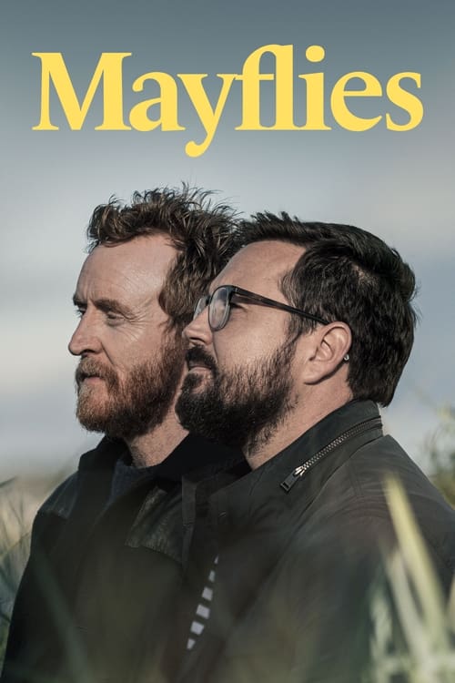 The poster features two bearded men in a contemplative pose, their faces illuminated by soft, natural light. The warm yellow text "Mayflies" stands out against the muted background, evoking a sense of introspection and melancholy.