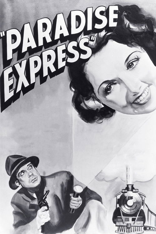 Paradise Express poster