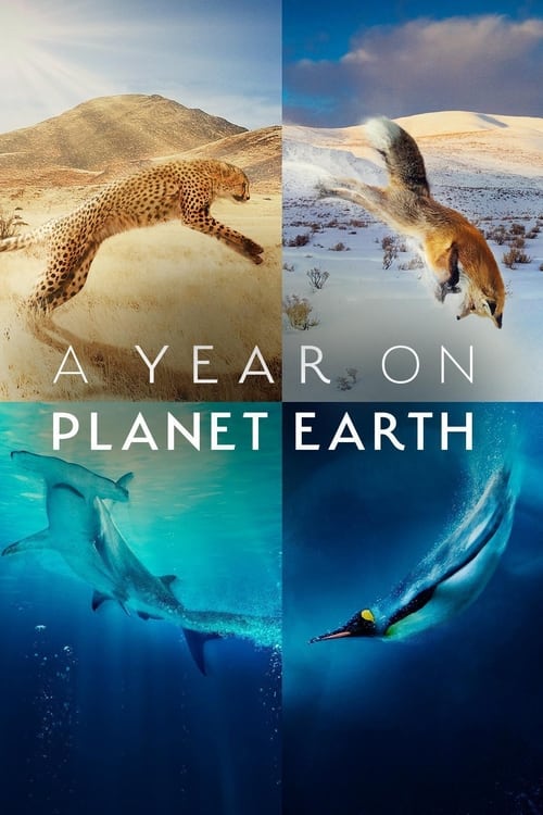 The poster features four distinct scenes: a desert animal, a bird soaring over snow, a whale swimming in turquoise waters, and a fish swimming in deep blue. The colors range from warm earth tones to cool blues, creating a vivid and dynamic atmosphere. The title "A Year on Planet Earth" is promine...
