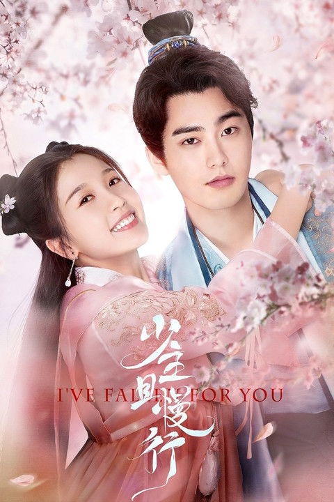 The poster features a tender scene with two characters in traditional Chinese attire, set against a soft pink cherry blossom background. The warm tones and romantic atmosphere evoke a sense of nostalgia and romance, perfectly capturing the essence of the show's emotional story.