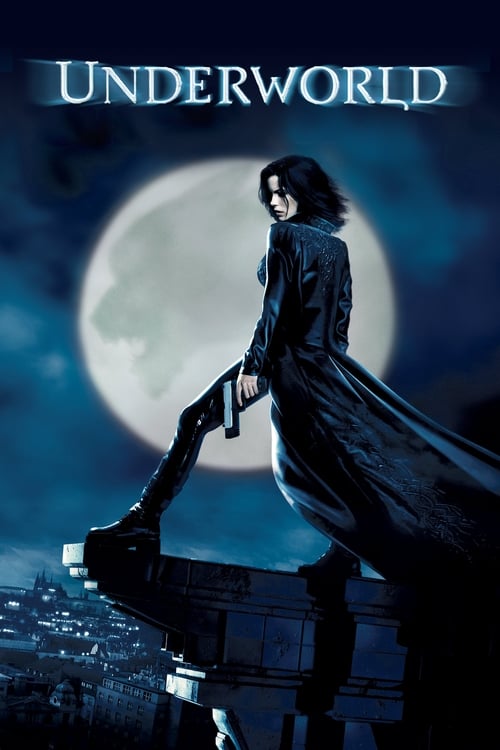 A mysterious woman in a long black coat stands atop a stone platform against a full moon, evoking a gothic horror atmosphere. The dark, moody colors and shadowy figures create an eerie, suspenseful mood that hints at the supernatural thriller genre.